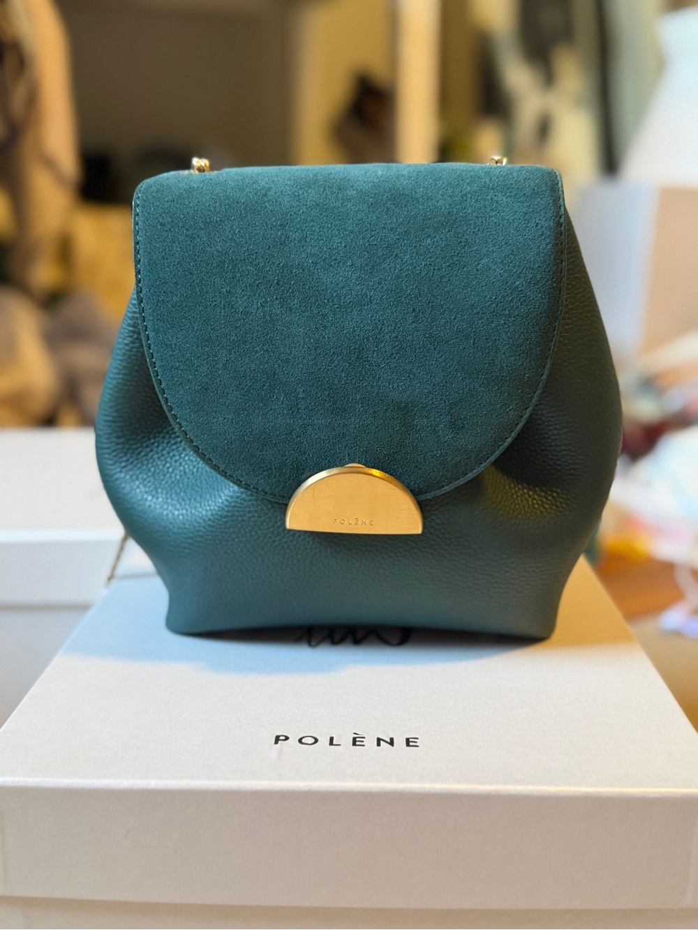 Polène Un Mini Bag in Vert with Gold Hardware